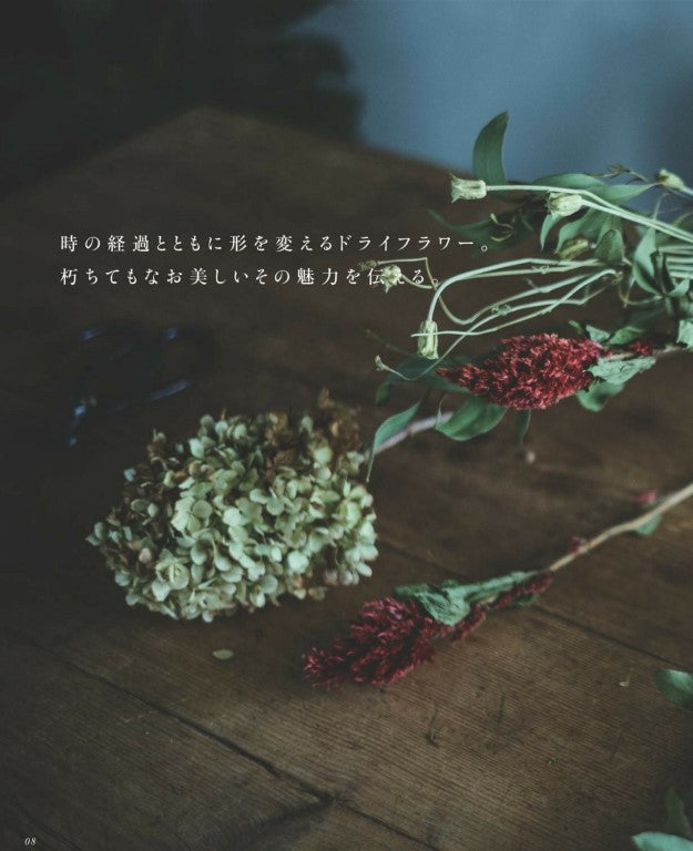 Living with Dried Flowers (2023)