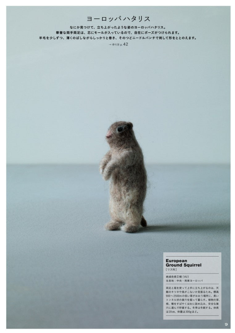 Palm-sized Animals - Endangered Species Made From Wool (Reika Ogata) (2015)