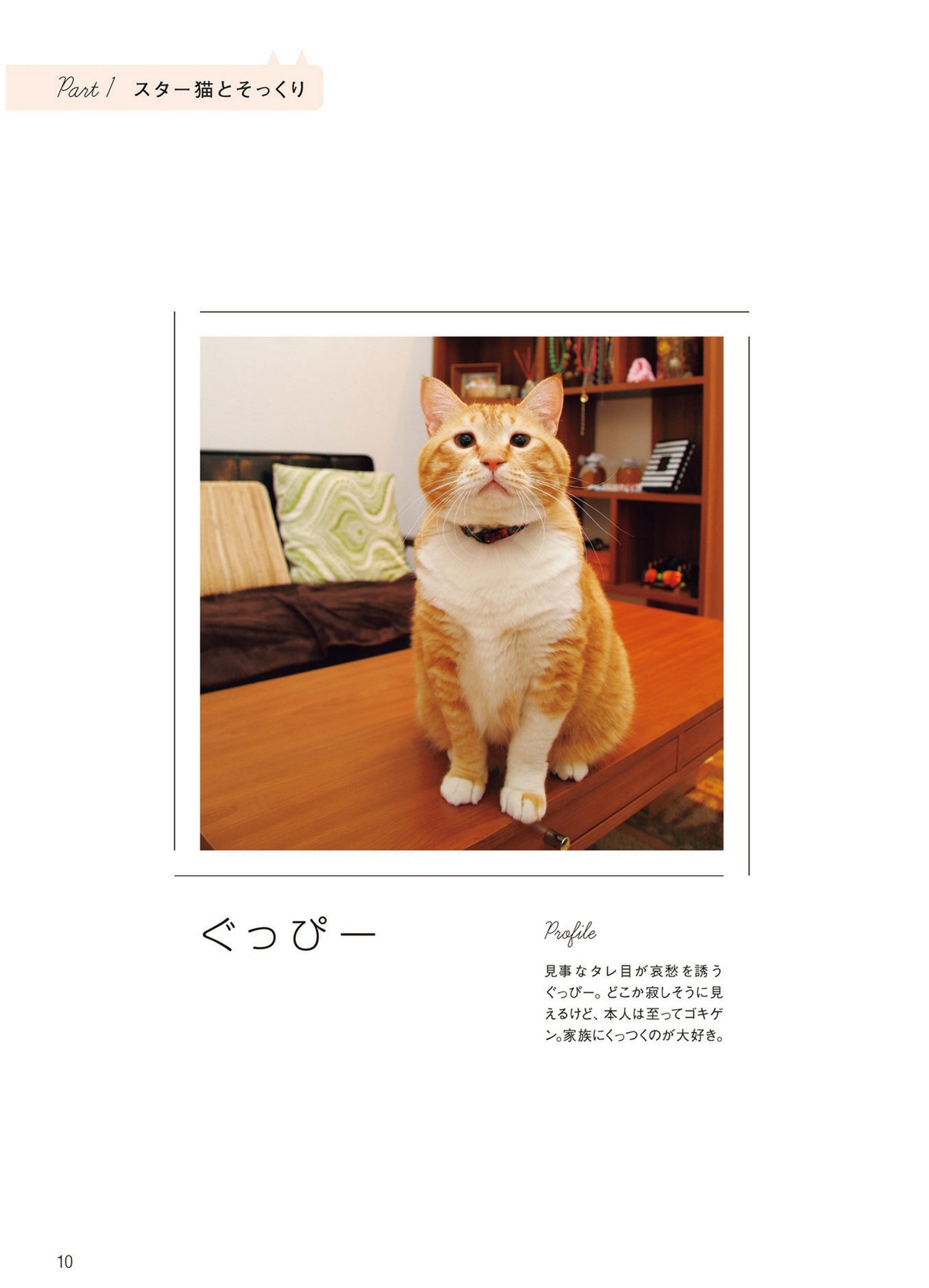 PomPom Cat Dolls that Looks Just Like Me (Sato Noriyuki) (2018)
