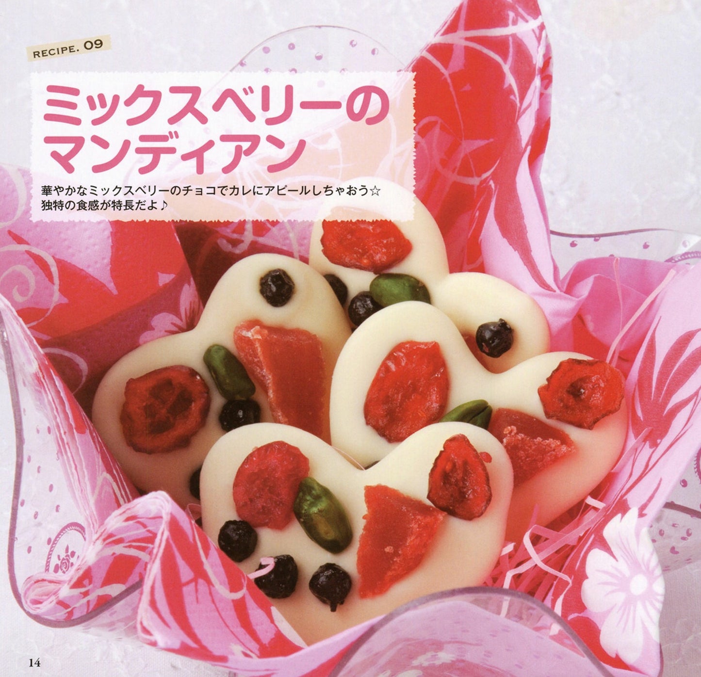 Special Chocolate You'll Want to make (Petit Boutique Series No.582) (2014)