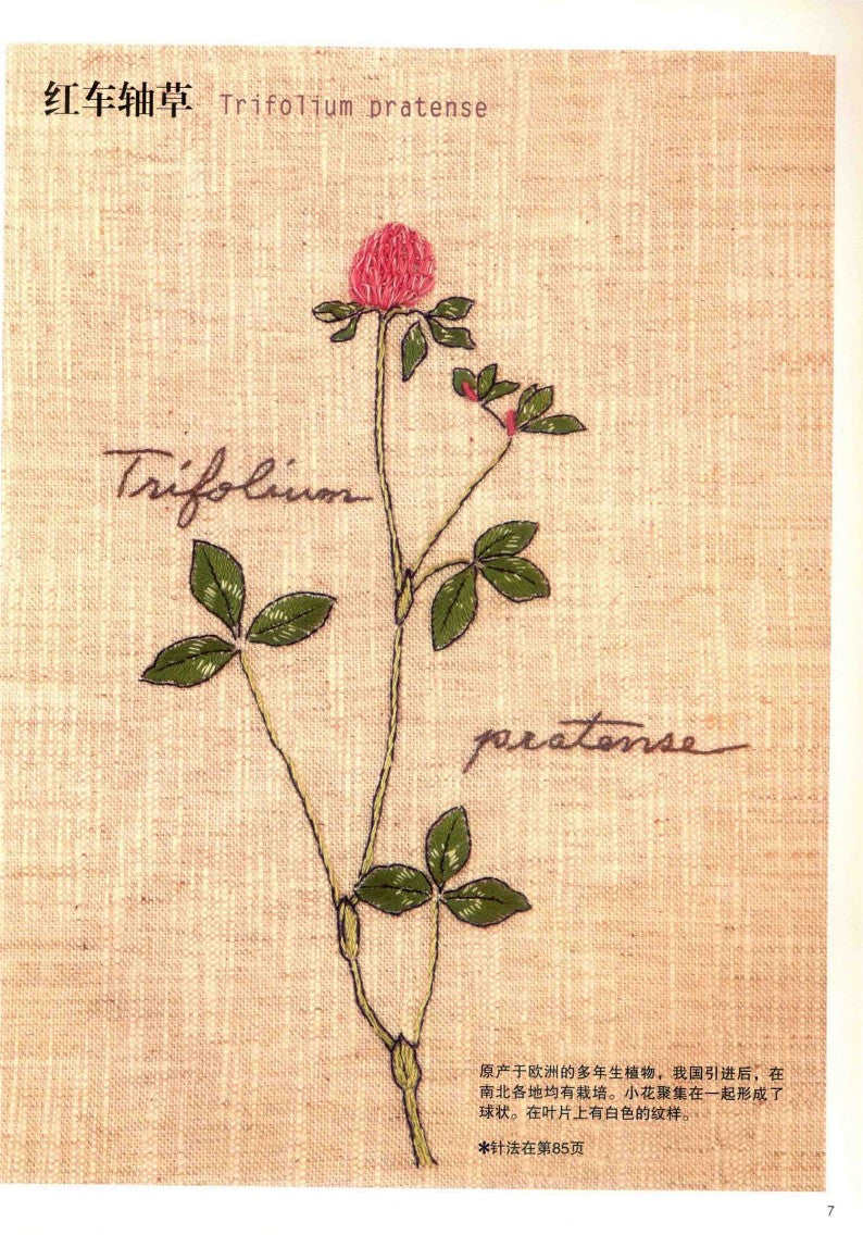 Embroidery Patterns 220 stitches + Elegant Floral and Letter Embroidery Patterns (2014) (CHINESE)