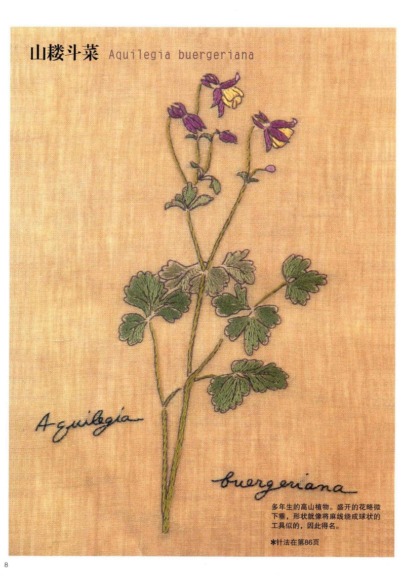 Embroidery Patterns 220 stitches + Elegant Floral and Letter Embroidery Patterns (2014) (CHINESE)