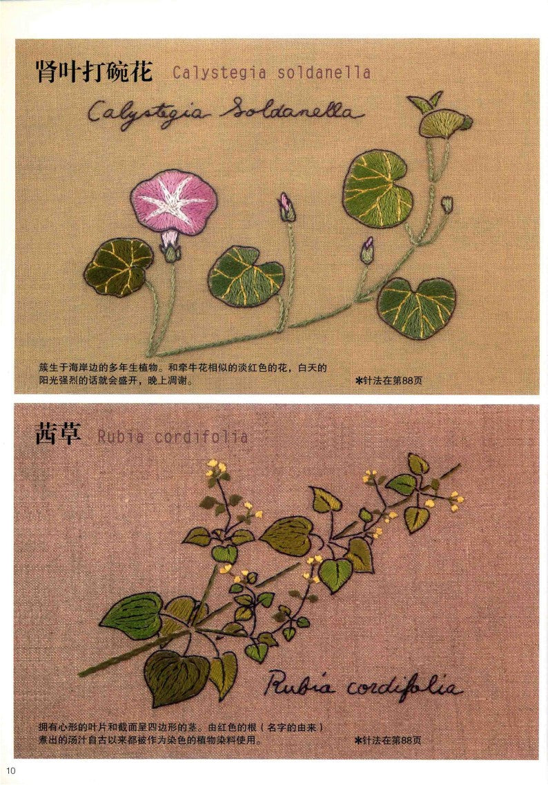 Embroidery Patterns 220 stitches + Elegant Floral and Letter Embroidery Patterns (2014) (CHINESE)
