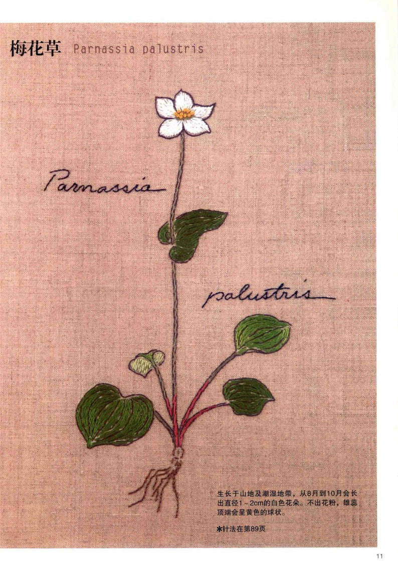 Embroidery Patterns 220 stitches + Elegant Floral and Letter Embroidery Patterns (2014) (CHINESE)
