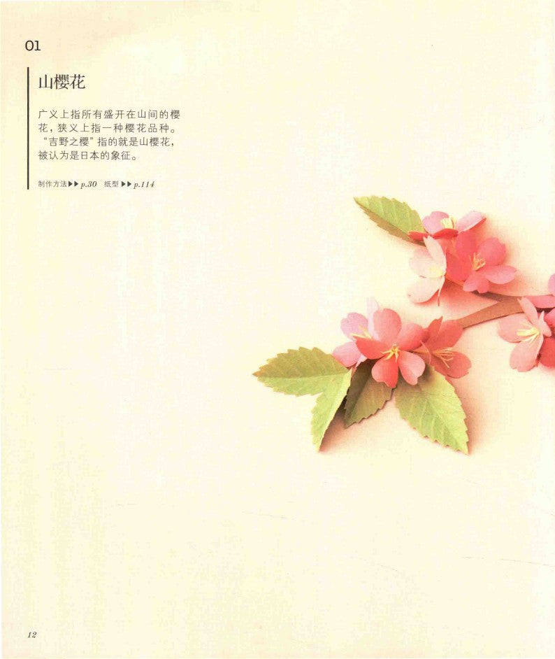 Four Seasons 3D Flower Paper Cutting Patterns (Yamamoto Emiko) (2017) (CHINESE)