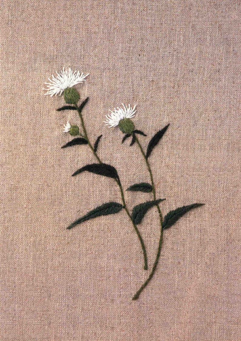 Korean Style Flower and Grass Embroidery - 50 Kinds of Flowers Embroidery (2015) (CHINESE)