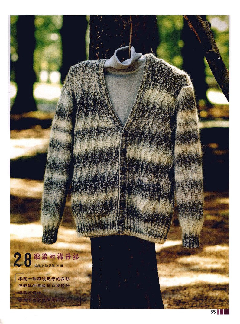 Men's Sweater Knitting (2010) (CHINESE)