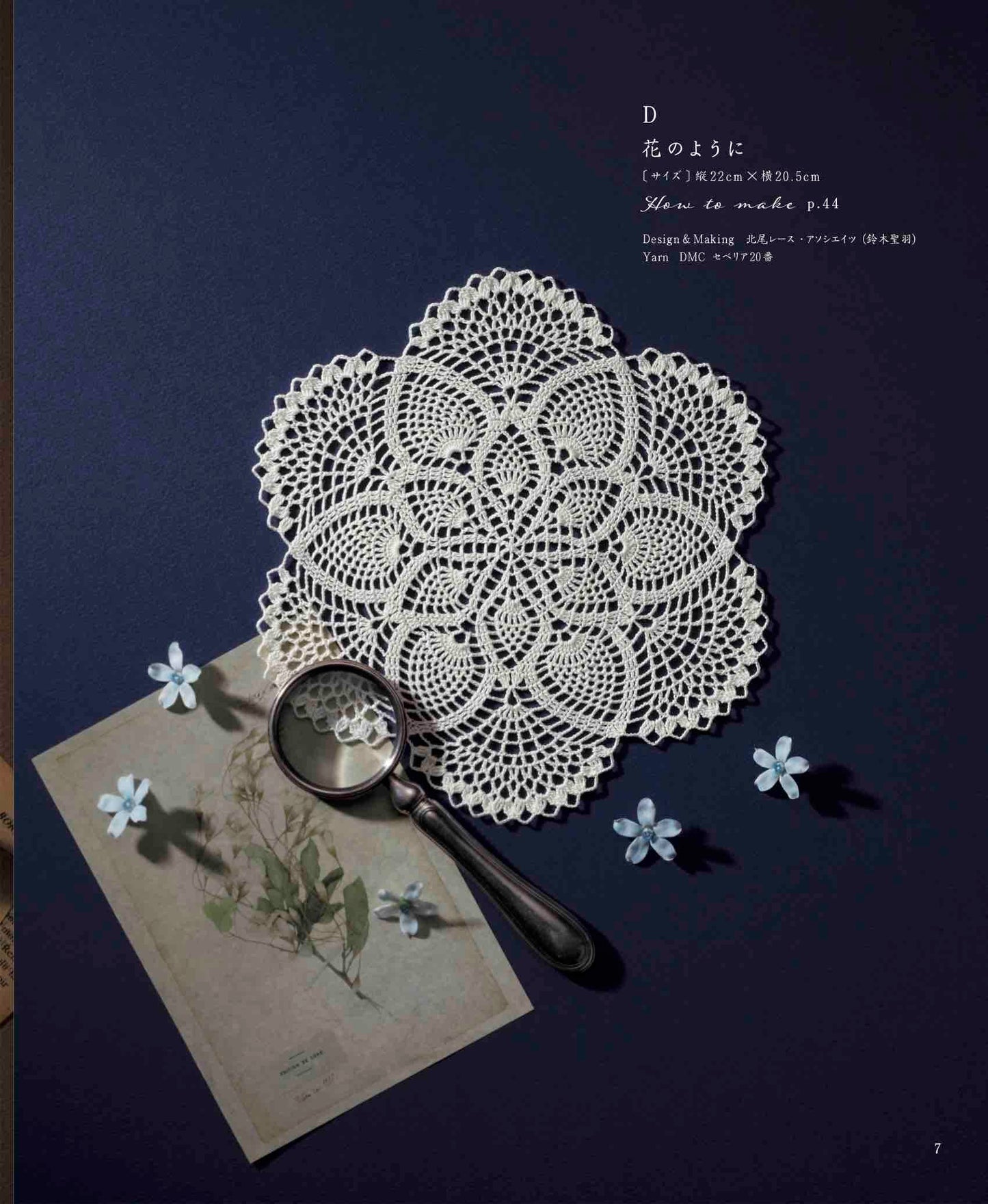 Small Crochet Lace Doily (2023)