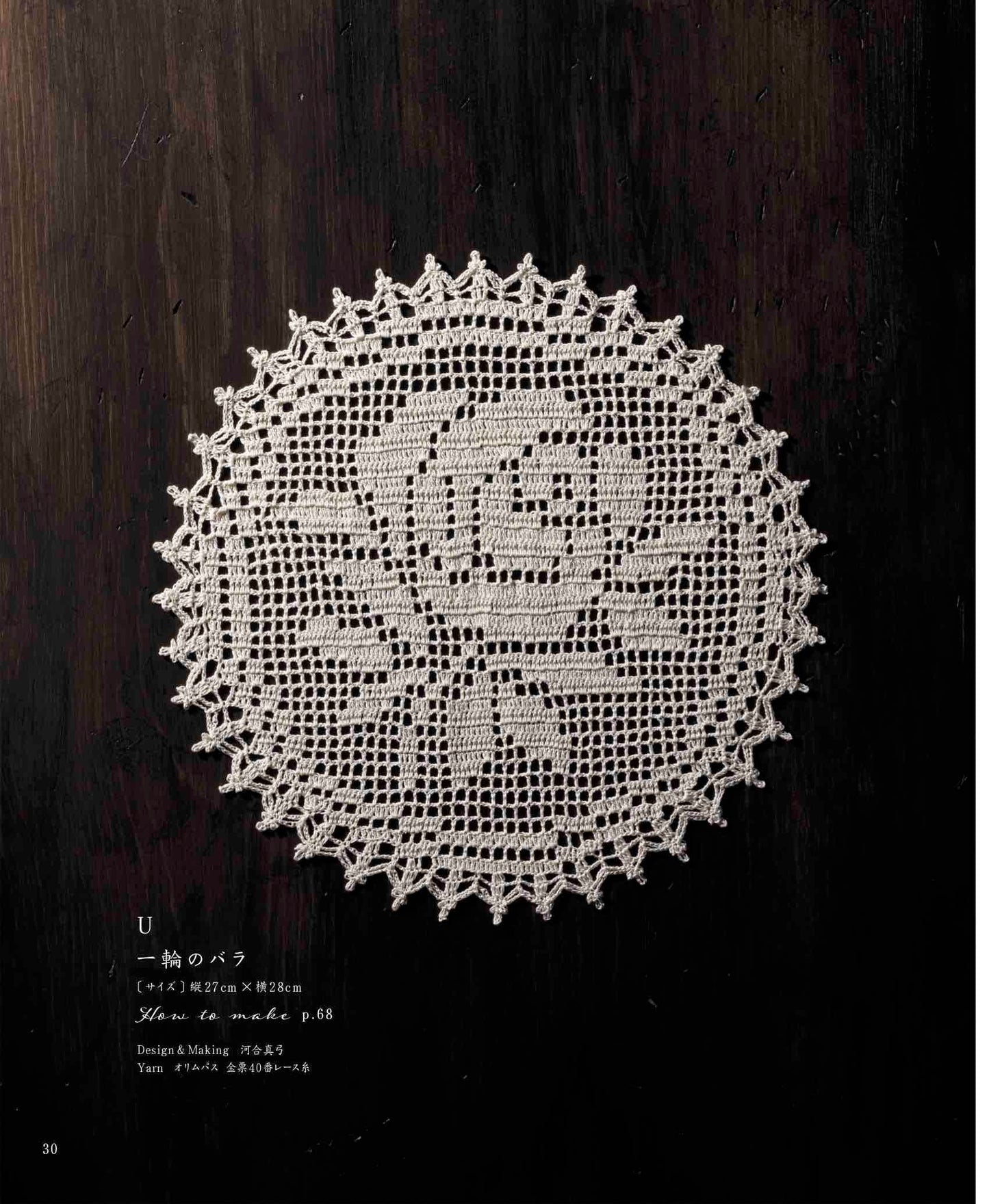 Small Crochet Lace Doily (2023)