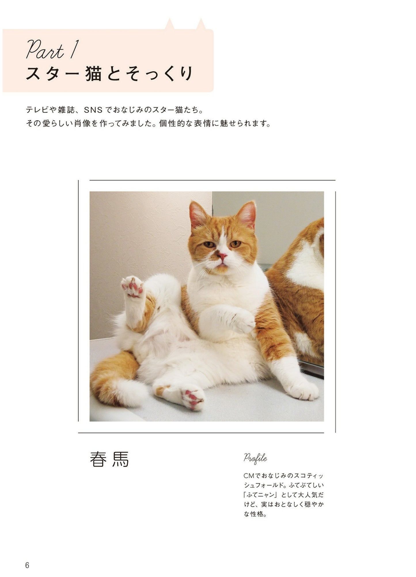 PomPom Cat Dolls that Looks Just Like Me (Sato Noriyuki) (2018)