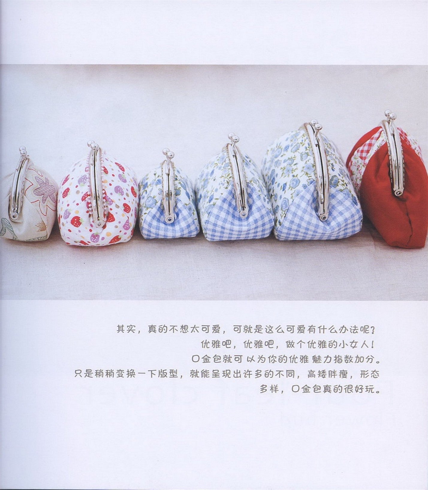 The First Book to teach You How to make a Golden Bag (CHINESE)
