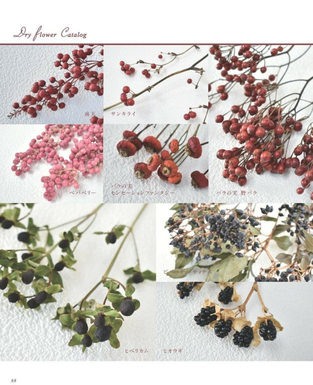 Living with Dried Flowers (2023)