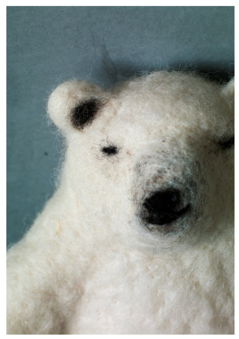 Palm-sized Animals - Endangered Species Made From Wool (Reika Ogata) (2015)