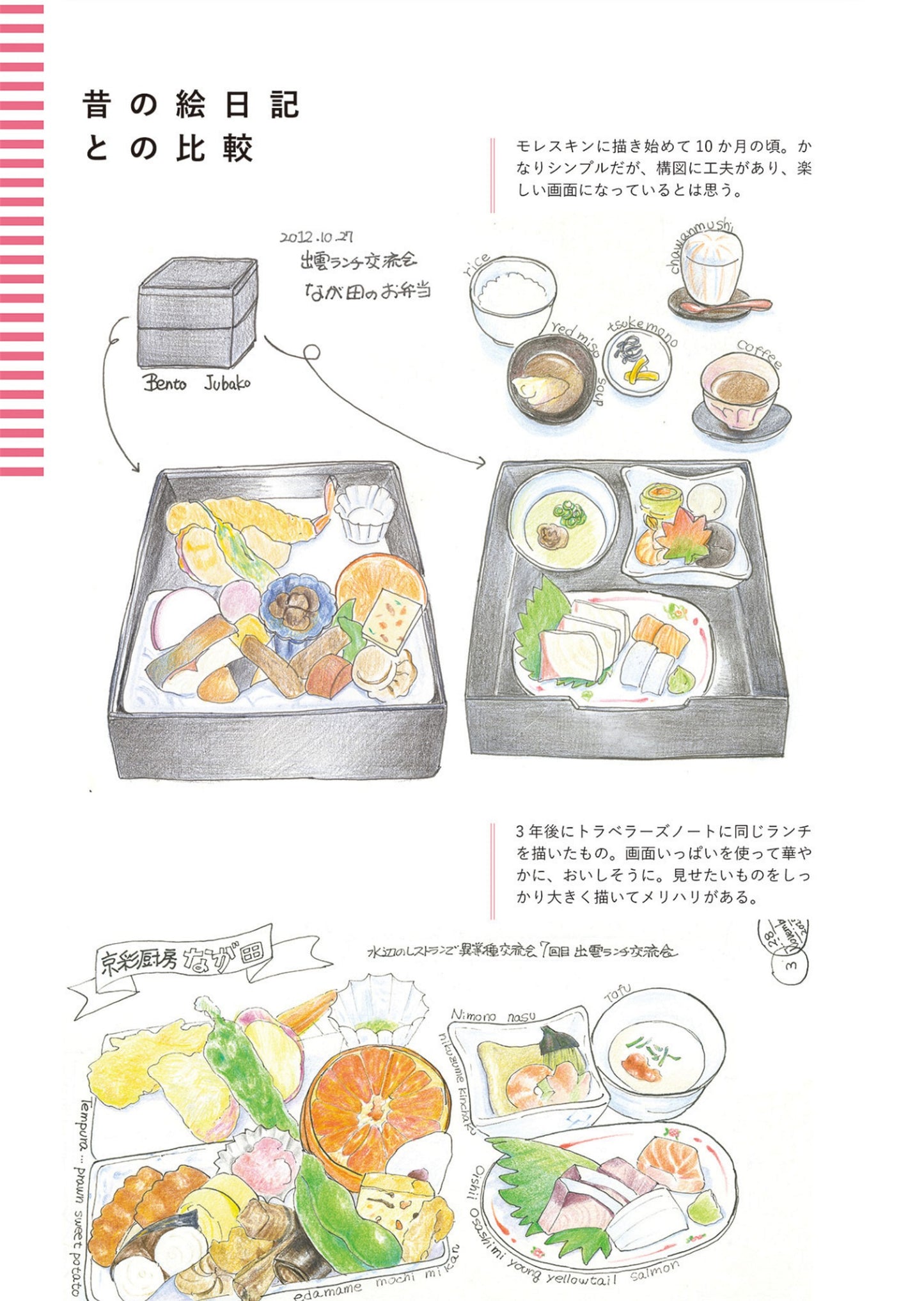 A Collection of Techniques for Drawing Attractive Illustrated Diaries (Mayumi Wakabayashi)