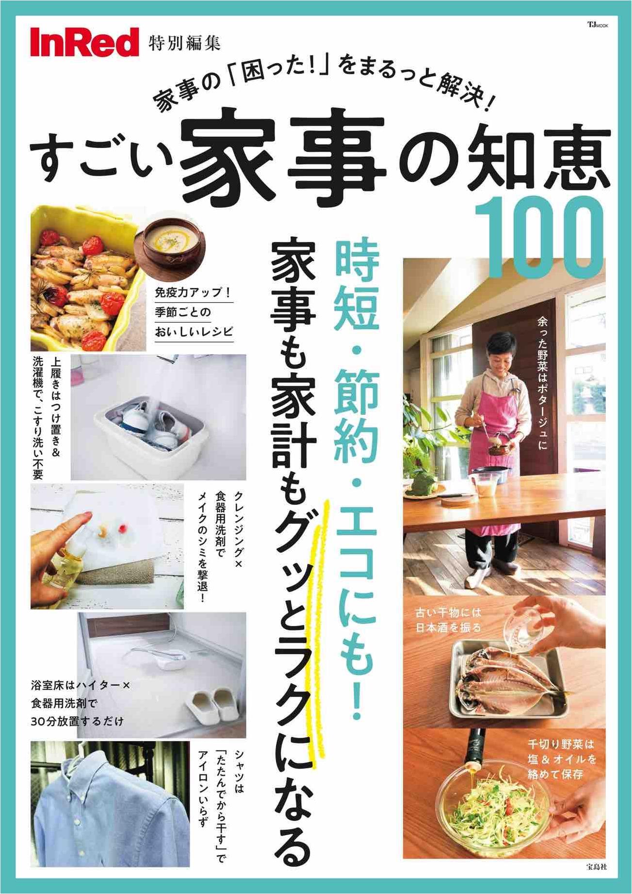 InRed Special Edition - 100 Amazing Housework Tips (2024)