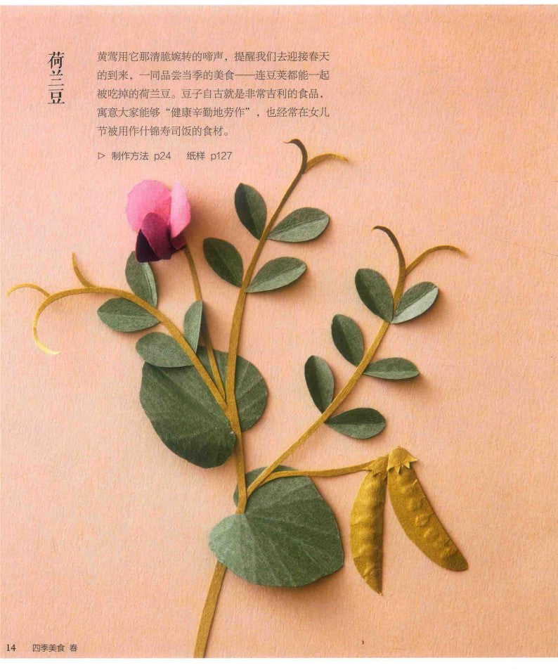 Four Seasons Food 3D Paper Cut (2019) (CHINESE)