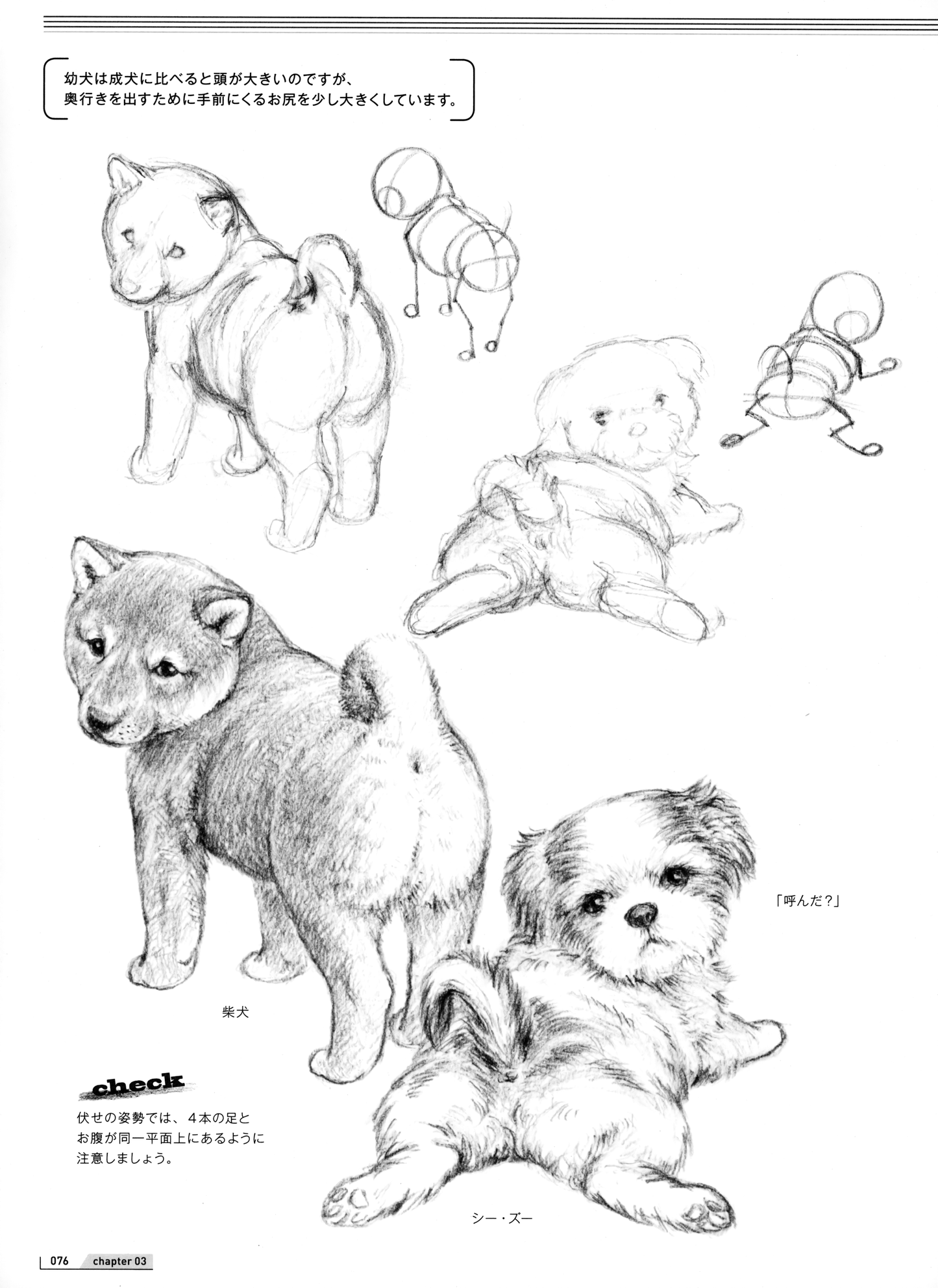 How to Draw Animals Painted by Veterinarian (by Mari Suzuki) (2019)
