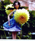 My First Korean Doll Book (2010) (CHINESE)