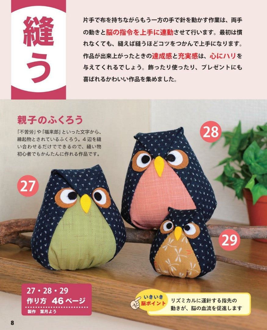 Brain Active Crafts (2019)