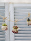 Super Cute Succulent Garden Made from Clay (2015) (CHINESE)
