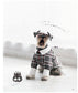 Cute Handmade Clothes for Dogs Size 13 by Mika Yuka (2023)