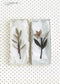 A Small Flower, A Corsage (Imari Murakami) (2009)