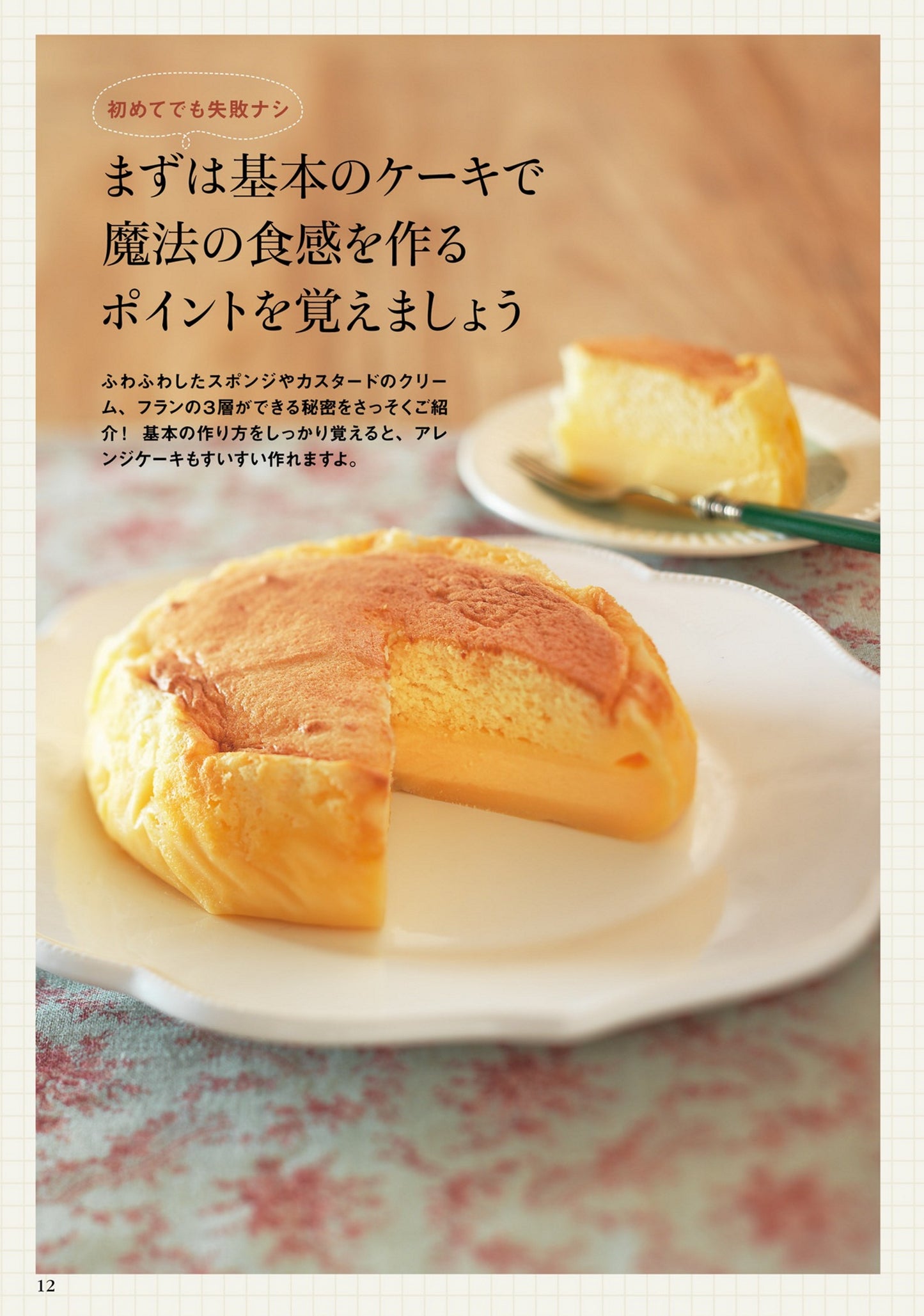 Gateau Magic - A Magical New Texture Cake Born in France (Junko Lida) (2016)