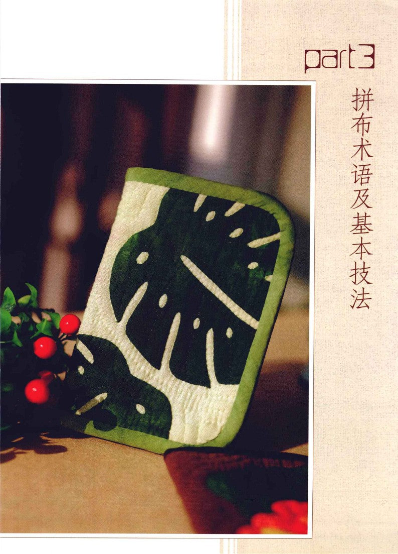 Learn Patchwork From Scratch (2011) (CHINESE)