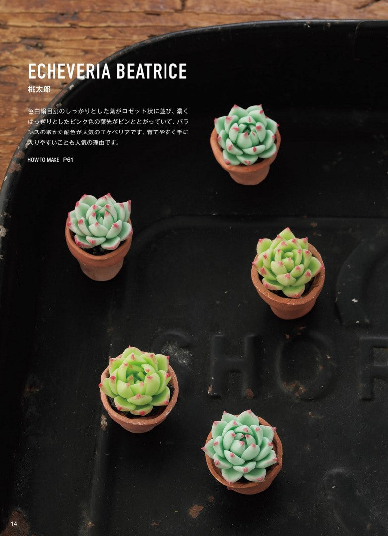 Miniature Succulents made from Polymer Clay (Kitanoko) (2019)