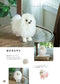 Palm-sized Amigurumi Dog (Mieko Mamido) (2024)