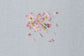 Single Flower Embroidery (Kaoru Totsuka) (2024)