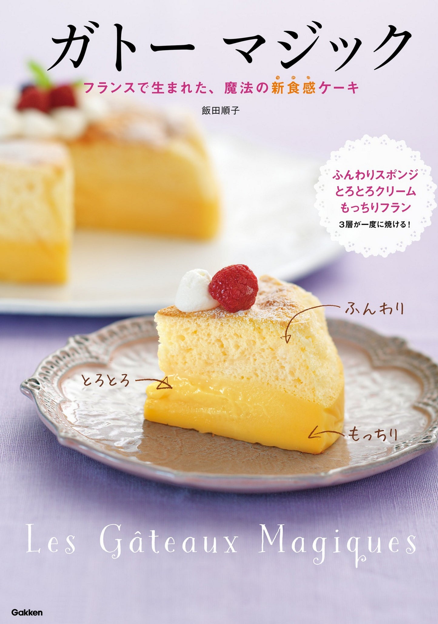 Gateau Magic - A Magical New Texture Cake Born in France (Junko Lida) (2016)