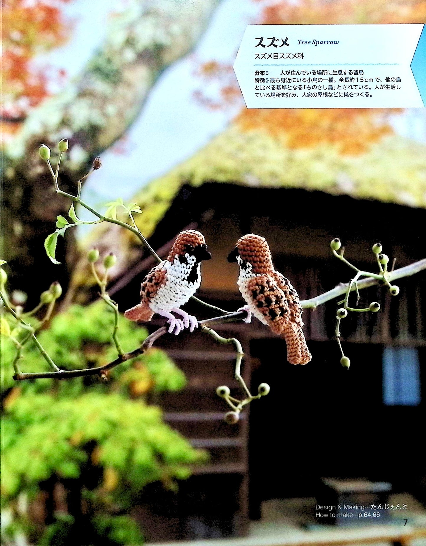 Complete Best Selection Crochet and Embroidery Thread Miniature Creatures Encyclopedia (applemints) (2024)