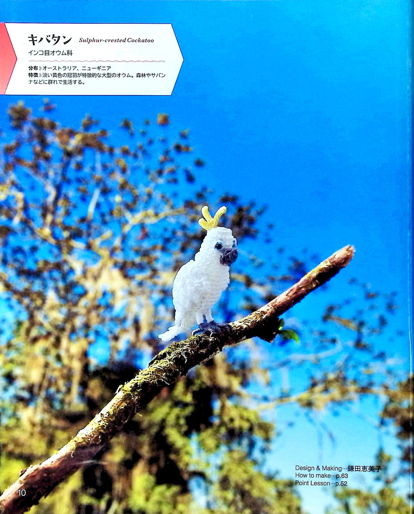 Complete Best Selection Crochet and Embroidery Thread Miniature Creatures Encyclopedia (applemints) (2024)