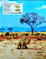 Complete Best Selection Crochet and Embroidery Thread Miniature Creatures Encyclopedia (applemints) (2024)