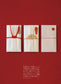 Mizuhiki - Basic Knots and Everyday Items (Toshiko Uchino) (2024)