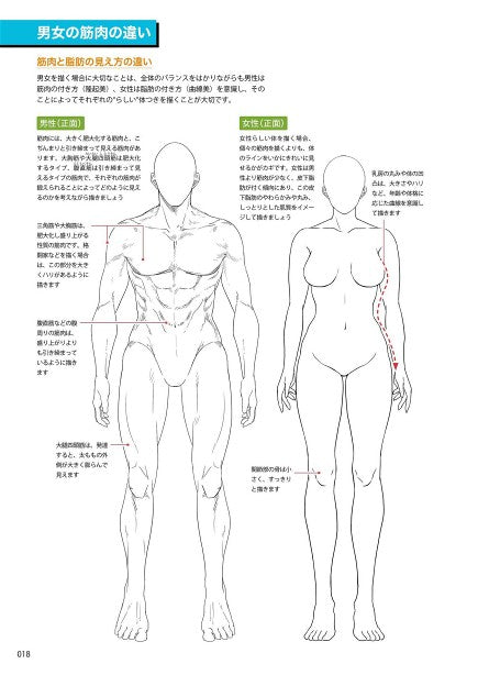 How to Draw a Sexy Man