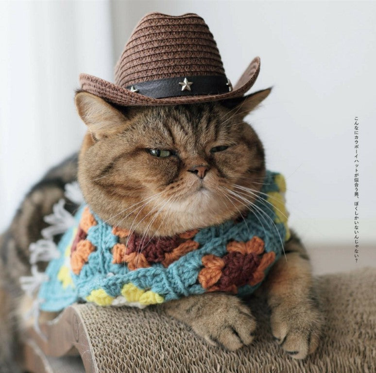 Torajiro the Cat and Crocheted Accessories (Lady Boutique Series) (2025)