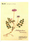 Embroidery Patterns 220 stitches + Elegant Floral and Letter Embroidery Patterns (2014) (CHINESE)