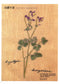 Embroidery Patterns 220 stitches + Elegant Floral and Letter Embroidery Patterns (2014) (CHINESE)
