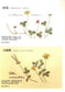 Embroidery Patterns 220 stitches + Elegant Floral and Letter Embroidery Patterns (2014) (CHINESE)