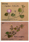 Embroidery Patterns 220 stitches + Elegant Floral and Letter Embroidery Patterns (2014) (CHINESE)