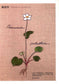 Embroidery Patterns 220 stitches + Elegant Floral and Letter Embroidery Patterns (2014) (CHINESE)