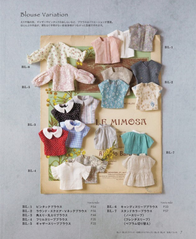 22cm Adult Doll Clothes (Satomi Takei) (2025)