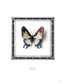 3D Embroidery Flowers and Butterflies (PieniSieni) (2021)