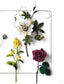3D Embroidery Flowers and Butterflies (PieniSieni) (2021)