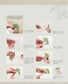 Living with Dried Flowers (2023)