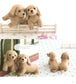 My First Animals Made from Wool Felt (Sachiko Susa) (2011)