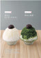 Shaved Ice at Excavated at Komomomama's House (Masami Kawai) (2024)